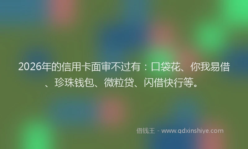 2026年的信用卡面审不过有：口袋花、你我易借、珍珠钱包、微粒贷、闪借快行等。