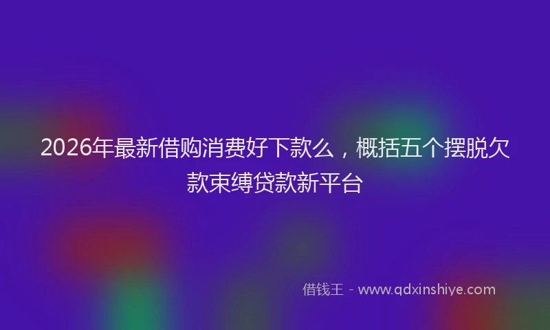 2026年最新借购消费好下款么,概括五个摆脱欠款束缚贷款新平台
