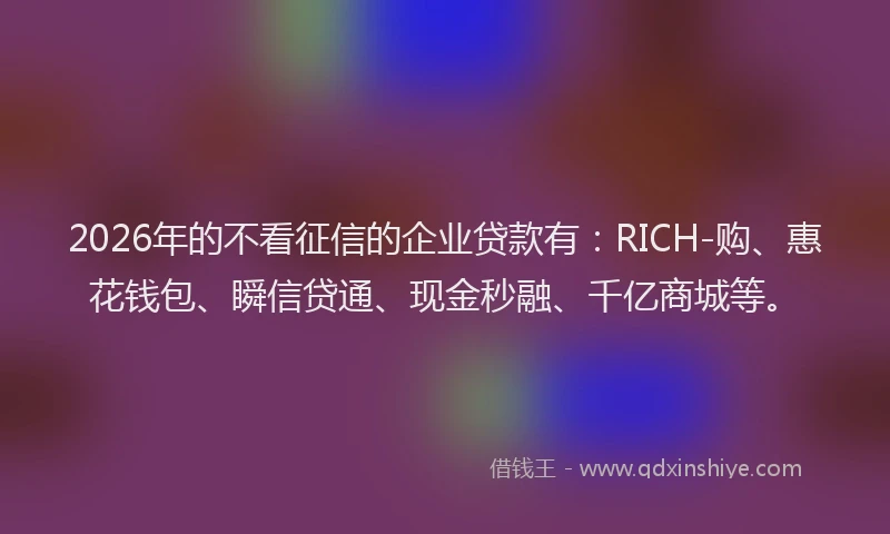 2026年的不看征信的企业贷款有：RICH-购、惠花钱包、瞬信贷通、现金秒融、千亿商城等。