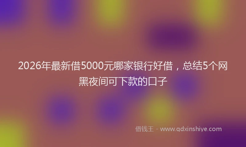 2026年最新借5000元哪家银行好借，总结5个网黑夜间可下款的口子