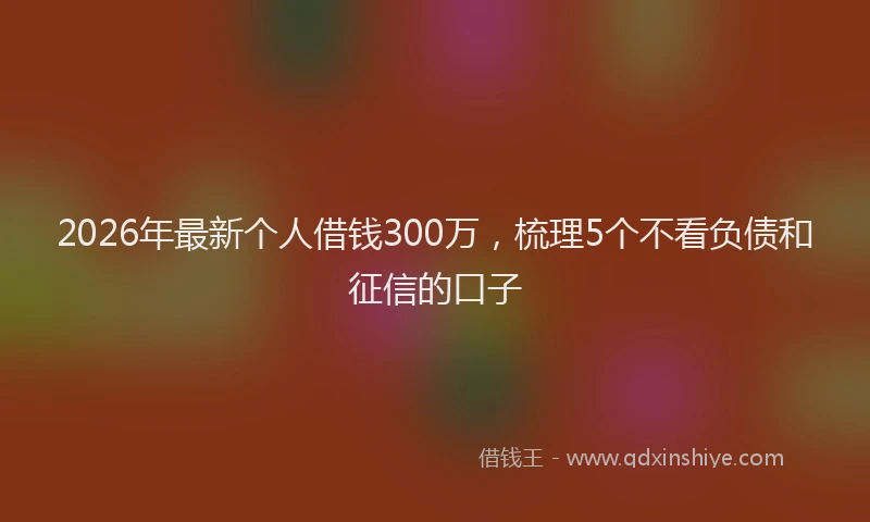 2026年最新个人借钱300万，梳理5个不看负债和征信的口子