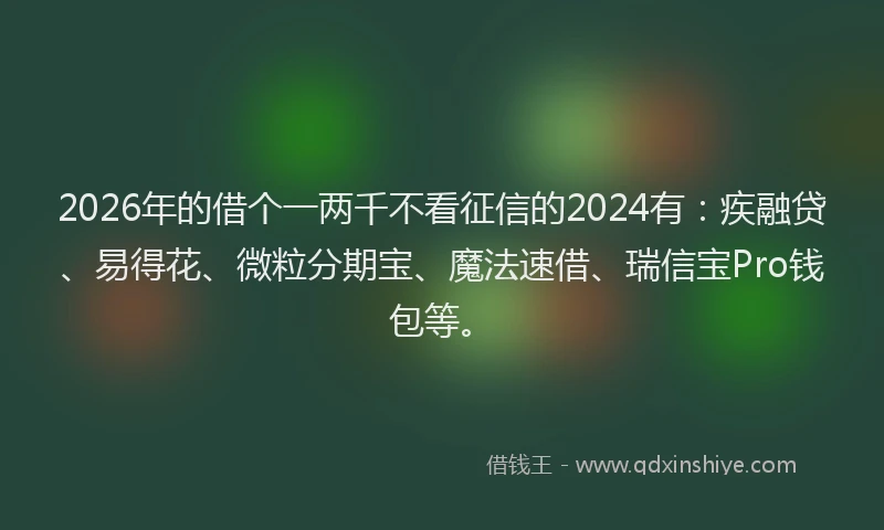 2026年的借个一两千不看征信的2024有：疾融贷、易得花、微粒分期宝、魔法速借、瑞信宝Pro钱包等。