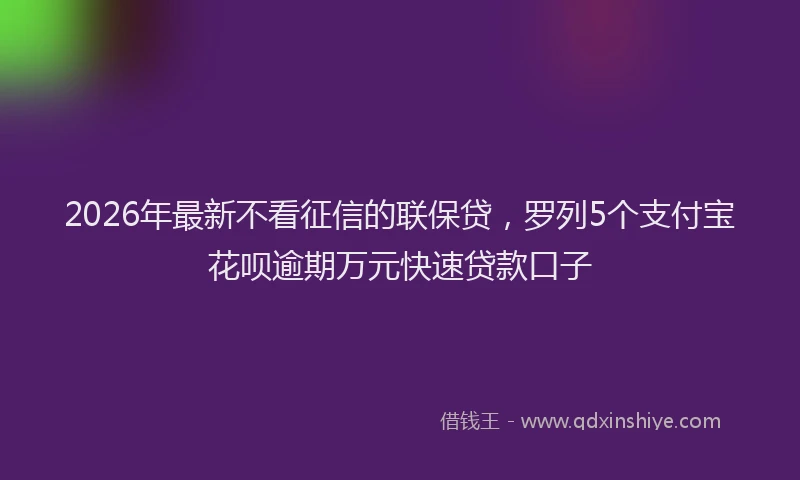 2026年最新不看征信的联保贷，罗列5个支付宝花呗逾期万元快速贷款口子
