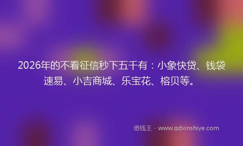2026年的不看征信秒下五千有：小象快贷、钱袋速易、小吉商城、乐宝花、榕贝等。