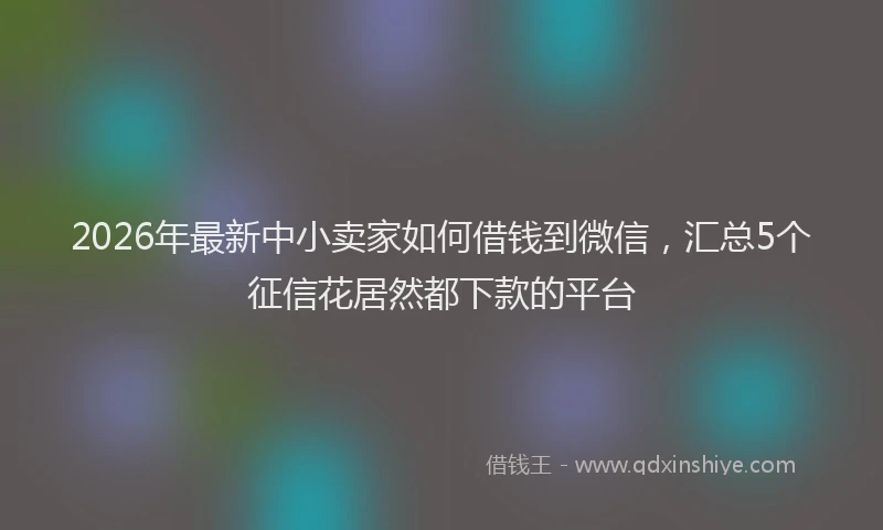 2026年最新中小卖家如何借钱到微信,汇总5个征信花居然都下款的平台