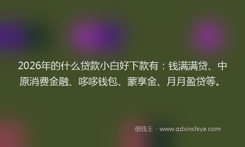 2026年的什么贷款小白好下款有:钱满满贷、中原消费金融、哆哆钱包、蒙享金、月月盈贷等。