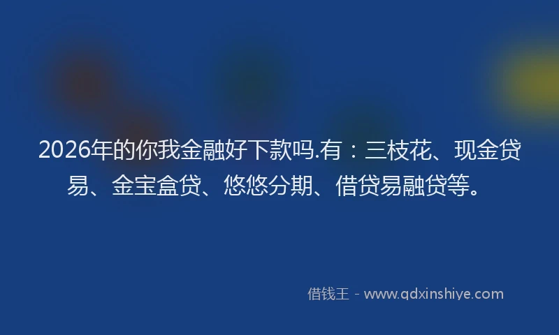 2026年的你我金融好下款吗.有：三枝花、现金贷易、金宝盒贷、悠悠分期、借贷易融贷等。