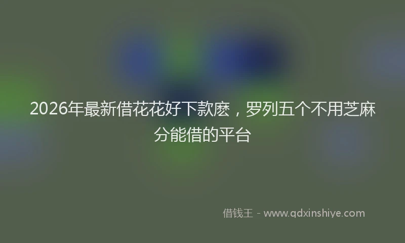 2026年最新借花花好下款麽，罗列五个不用芝麻分能借的平台