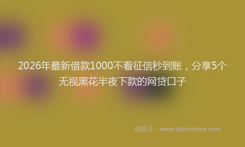 2026年最新借款1000不看征信秒到账,分享5个无视黑花半夜下款的网贷口子