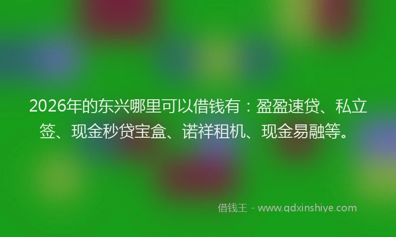 2026年的东兴哪里可以借钱有：盈盈速贷、私立签、现金秒贷宝盒、诺祥租机、现金易融等。