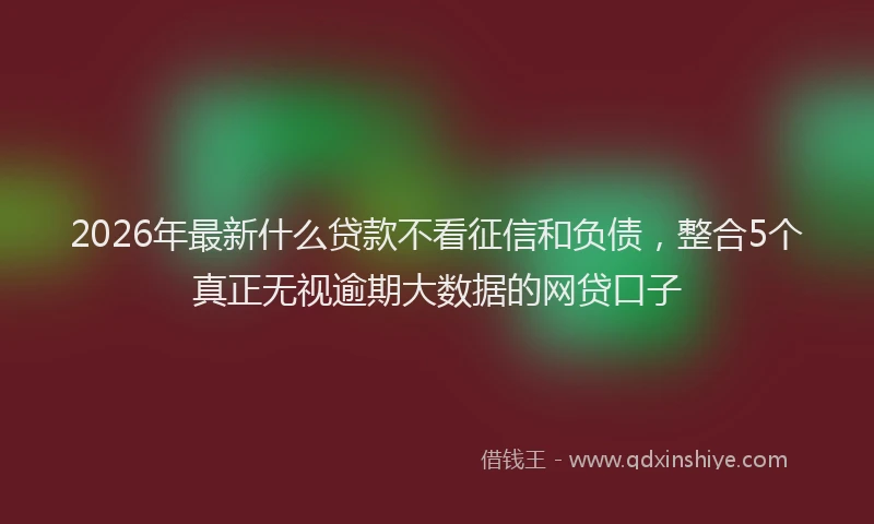 2026年最新什么贷款不看征信和负债,整合5个真正无视逾期大数据的网贷口子