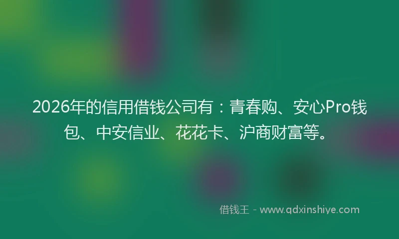 2026年的信用借钱公司有：青春购、安心Pro钱包、中安信业、花花卡、沪商财富等。