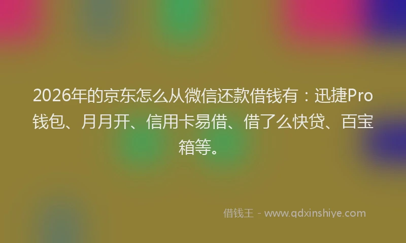 2026年的京东怎么从微信还款借钱有:迅捷Pro钱包、月月开、信用卡易借、借了么快贷、百宝箱等。