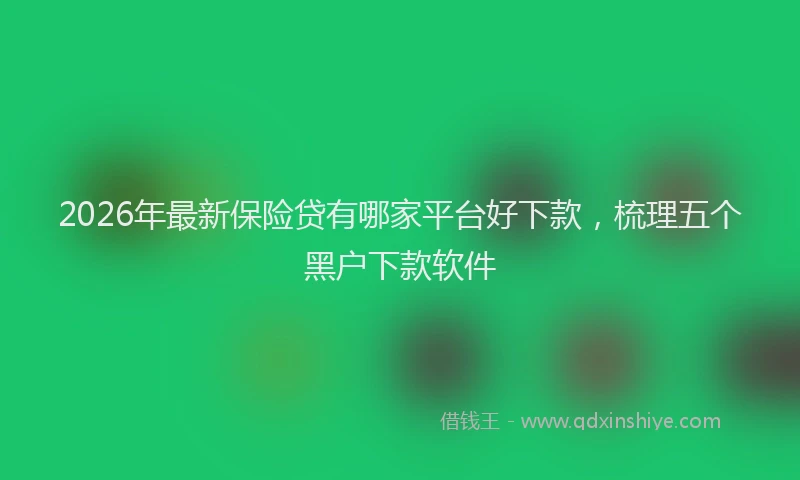 2026年最新保险贷有哪家平台好下款，梳理五个黑户下款软件
