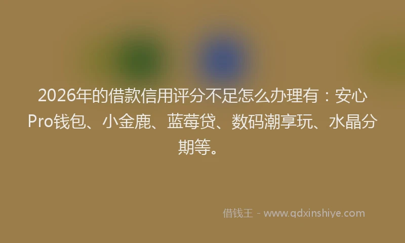 2026年的借款信用评分不足怎么办理有：安心Pro钱包、小金鹿、蓝莓贷、数码潮享玩、水晶分期等。
