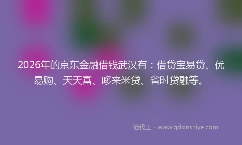 2026年的京东金融借钱武汉有：借贷宝易贷、优易购、天天富、哆来米贷、省时贷融等。