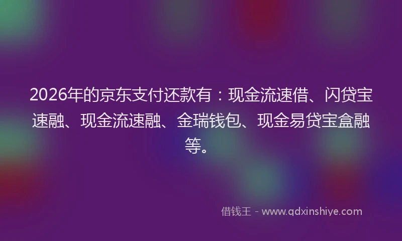 2026年的京东支付还款有:现金流速借、闪贷宝速融、现金流速融、金瑞钱包、现金易贷宝盒融等。