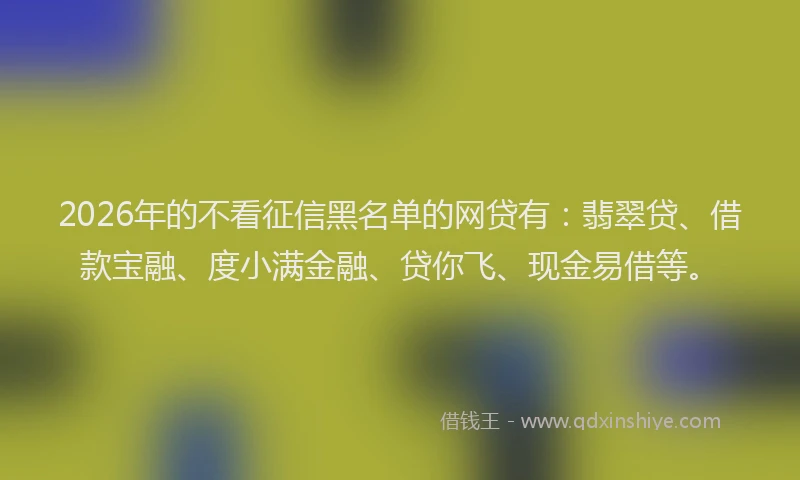 2026年的不看征信黑名单的网贷有:翡翠贷、借款宝融、度小满金融、贷你飞、现金易借等。