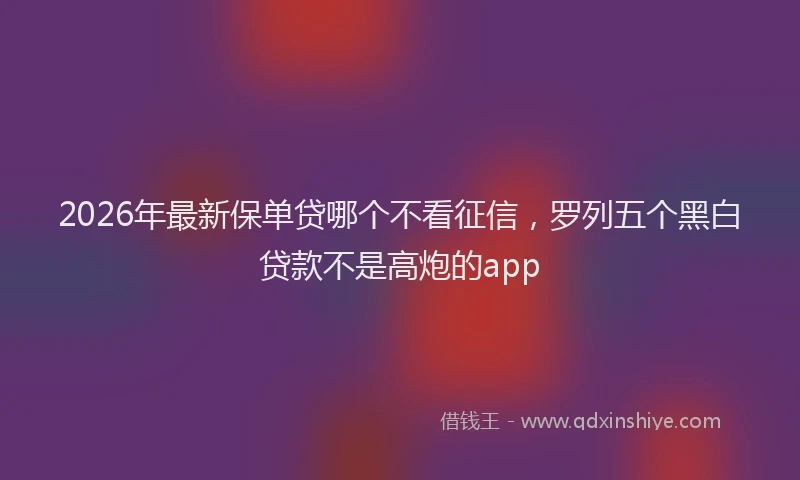 2026年最新保单贷哪个不看征信,罗列五个黑白贷款不是高炮的app