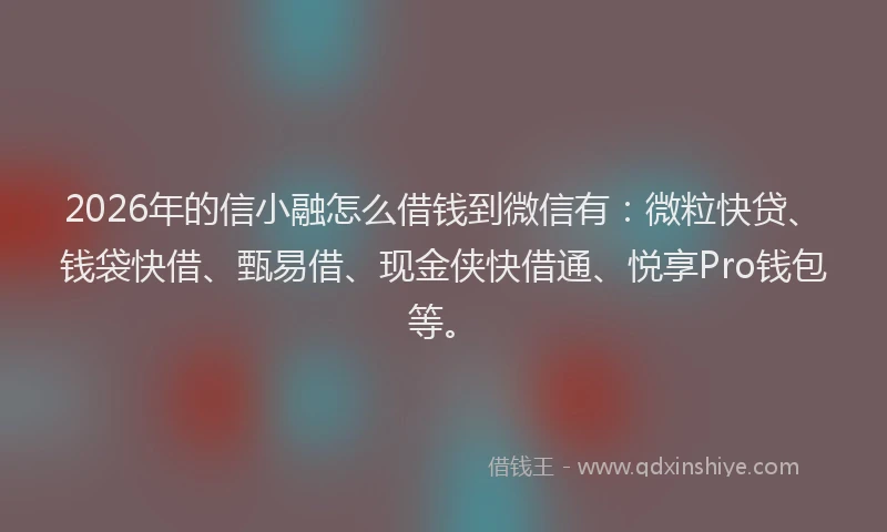 2026年的信小融怎么借钱到微信有：微粒快贷、钱袋快借、甄易借、现金侠快借通、悦享Pro钱包等。