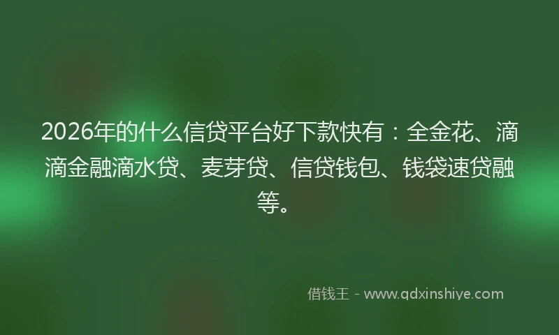 2026年的什么信贷平台好下款快有:全金花、滴滴金融滴水贷、麦芽贷、信贷钱包、钱袋速贷融等。