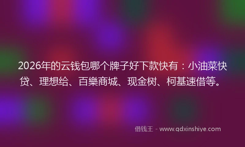 2026年的云钱包哪个牌子好下款快有：小油菜快贷、理想给、百樂商城、现金树、柯基速借等。