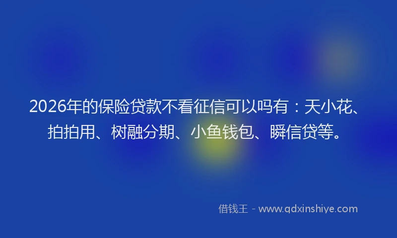 2026年的保险贷款不看征信可以吗有：天小花、拍拍用、树融分期、小鱼钱包、瞬信贷等。
