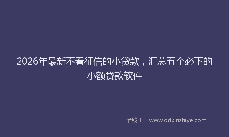 2026年最新不看征信的小贷款，汇总五个必下的小额贷款软件