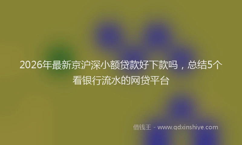 2026年最新京沪深小额贷款好下款吗，总结5个看银行流水的网贷平台