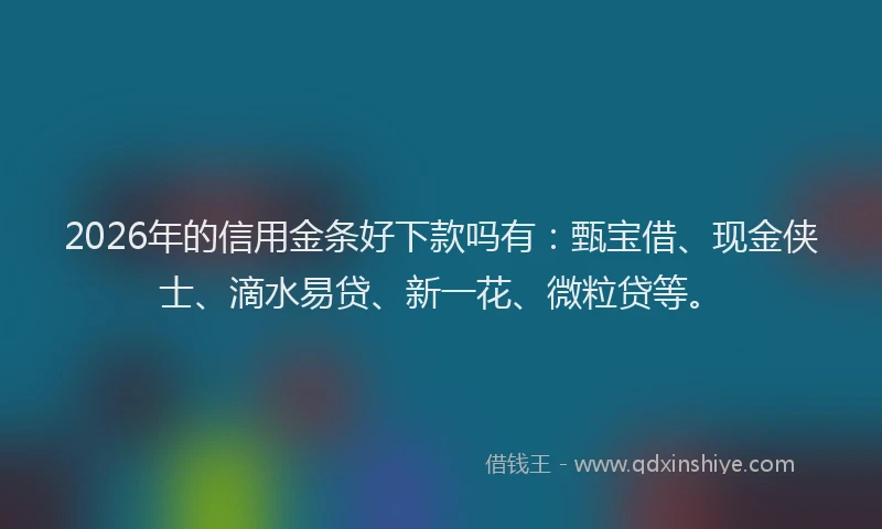 2026年的信用金条好下款吗有:甄宝借、现金侠士、滴水易贷、新一花、微粒贷等。