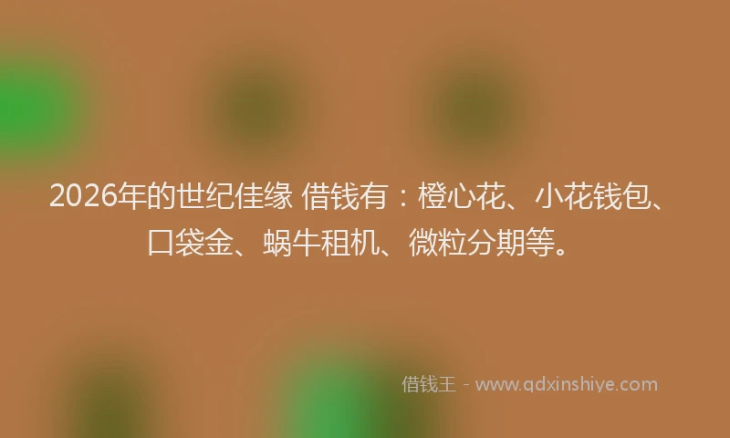 2026年的世纪佳缘 借钱有:橙心花、小花钱包、口袋金、蜗牛租机、微粒分期等。