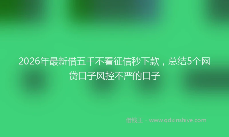 2026年最新借五千不看征信秒下款，总结5个网贷口子风控不严的口子