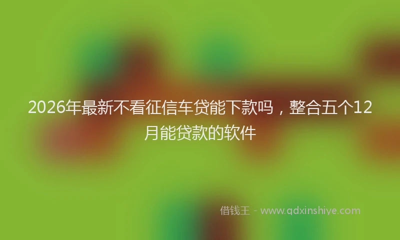 2026年最新不看征信车贷能下款吗，整合五个12月能贷款的软件