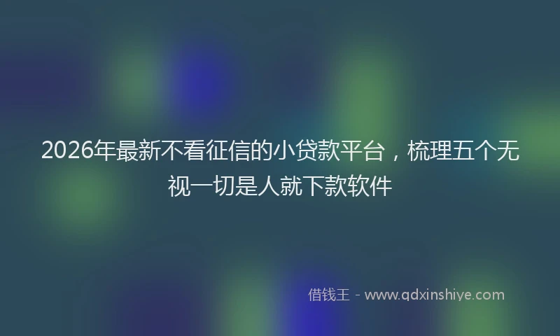 2026年最新不看征信的小贷款平台，梳理五个无视一切是人就下款软件