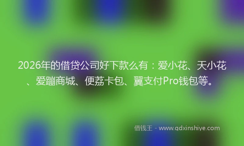 2026年的借贷公司好下款么有：爱小花、天小花、爱蹦商城、便荔卡包、翼支付Pro钱包等。