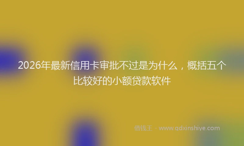 2026年最新信用卡审批不过是为什么,概括五个比较好的小额贷款软件