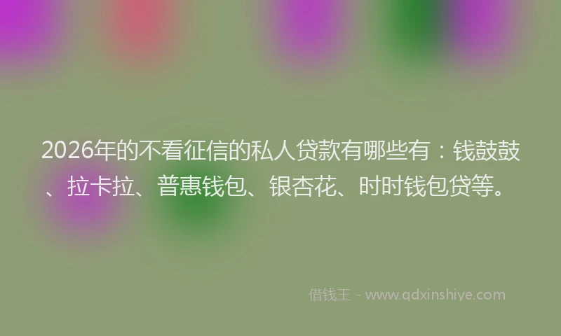 2026年的不看征信的私人贷款有哪些有:钱鼓鼓、拉卡拉、普惠钱包、银杏花、时时钱包贷等。