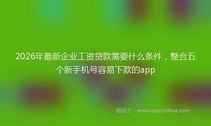 2026年最新企业工资贷款需要什么条件，整合五个新手机号容易下款的app