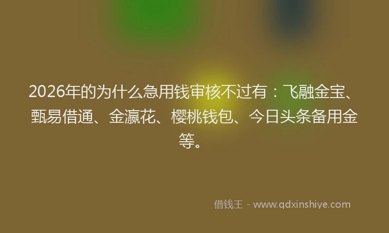 2026年的为什么急用钱审核不过有：飞融金宝、甄易借通、金瀛花、樱桃钱包、今日头条备用金等。