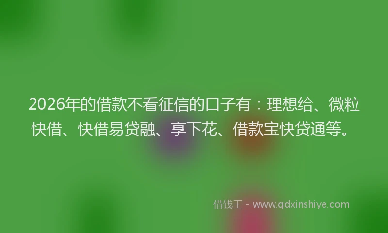 2026年的借款不看征信的口子有：理想给、微粒快借、快借易贷融、享下花、借款宝快贷通等。