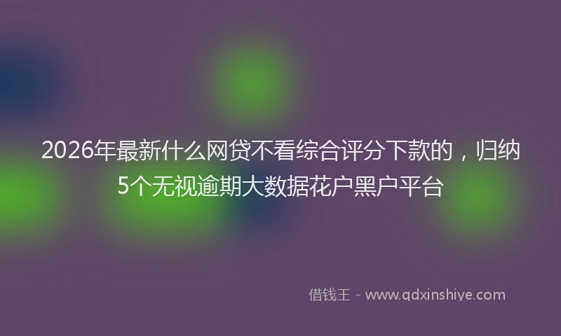 2026年最新什么网贷不看综合评分下款的，归纳5个无视逾期大数据花户黑户平台