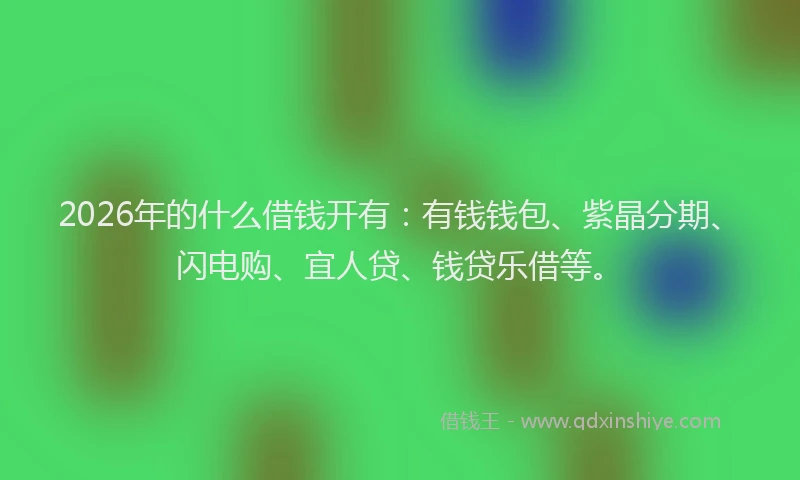 2026年的什么借钱开有：有钱钱包、紫晶分期、闪电购、宜人贷、钱贷乐借等。