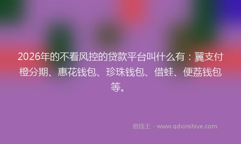2026年的不看风控的贷款平台叫什么有：翼支付橙分期、惠花钱包、珍珠钱包、借蛙、便荔钱包等。