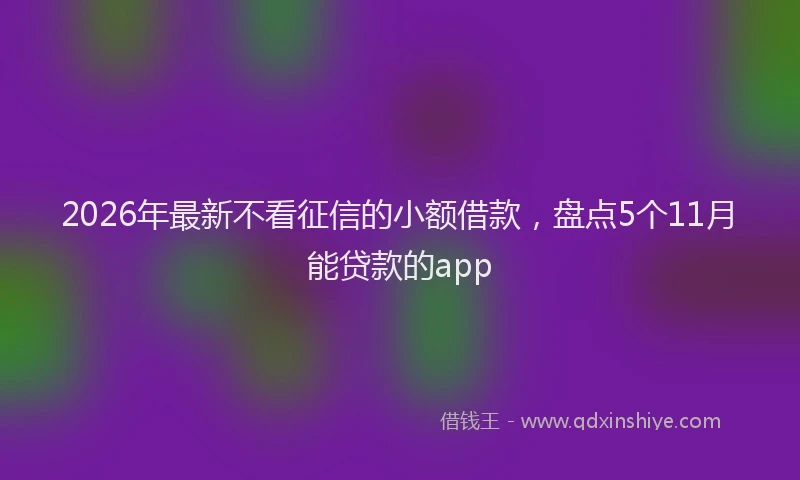 2026年最新不看征信的小额借款，盘点5个11月能贷款的app