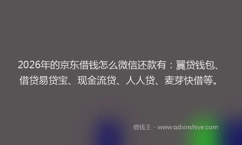 2026年的京东借钱怎么微信还款有:翼贷钱包、借贷易贷宝、现金流贷、人人贷、麦芽快借等。