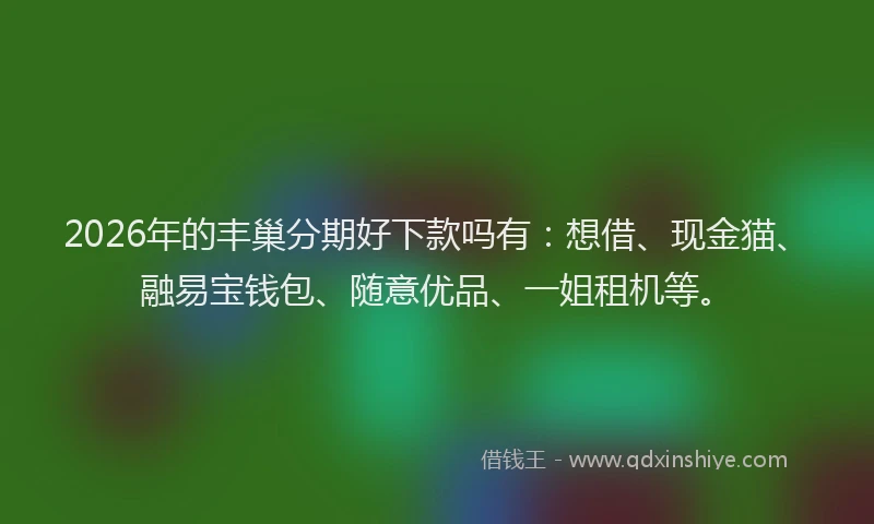 2026年的丰巢分期好下款吗有：想借、现金猫、融易宝钱包、随意优品、一姐租机等。