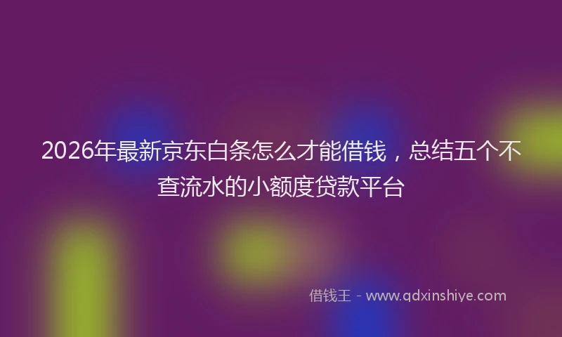 2026年最新京东白条怎么才能借钱，总结五个不查流水的小额度贷款平台