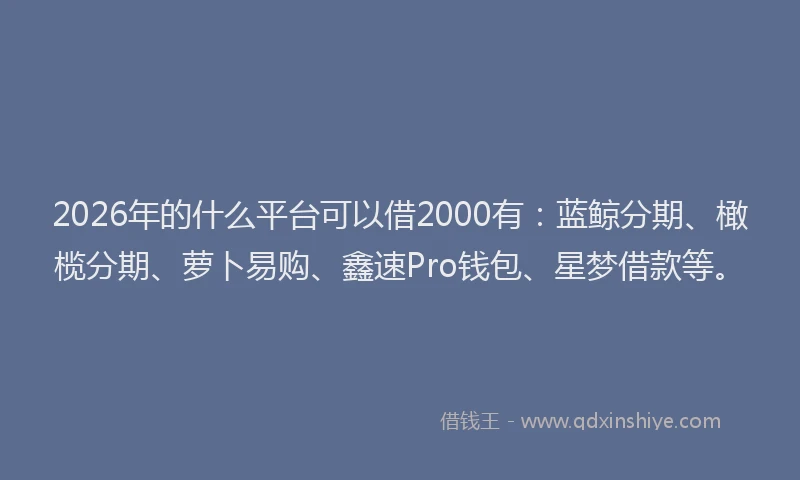 2026年的什么平台可以借2000有：蓝鲸分期、橄榄分期、萝卜易购、鑫速Pro钱包、星梦借款等。