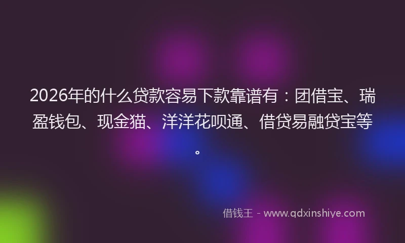 2026年的什么贷款容易下款靠谱有:团借宝、瑞盈钱包、现金猫、洋洋花呗通、借贷易融贷宝等。