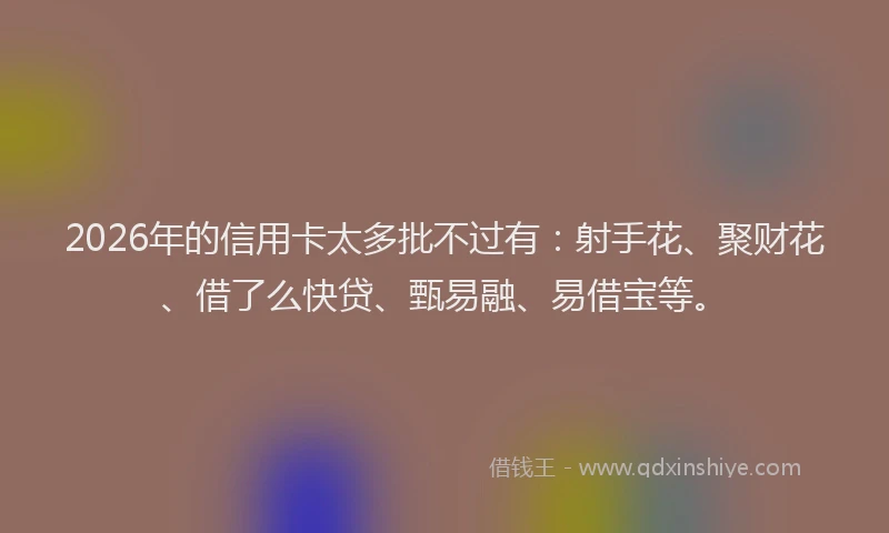 2026年的信用卡太多批不过有：射手花、聚财花、借了么快贷、甄易融、易借宝等。